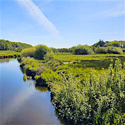 galleri
