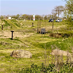 galleri