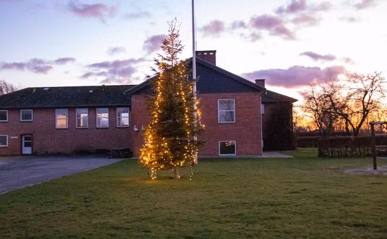 Juletræet 2019