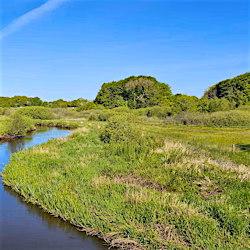 galleri