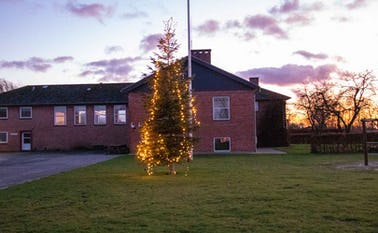Juletræet 2019