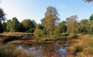 Kvong Engpark
