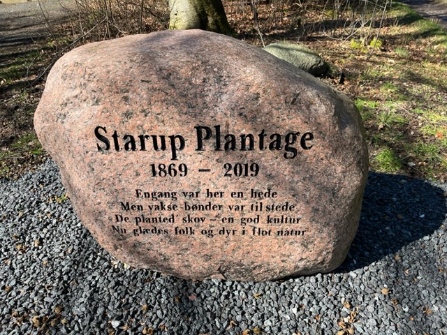 Starup Plantage